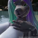 LewdWhaleShark