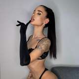 kotik_premium