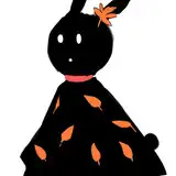 AkaShia
