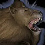 desertlion3d from patreon