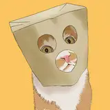 Shihoroma