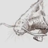 MekanipWrites from patreon