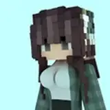 avalanchminecraft from patreon