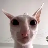 milkywaybara